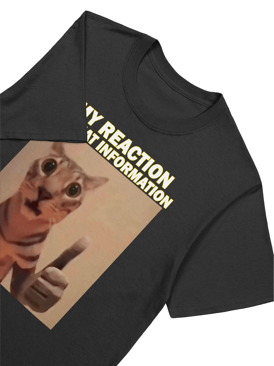 MY HONEST REACTION TO THAT INFO T-SHIRT product image (12)