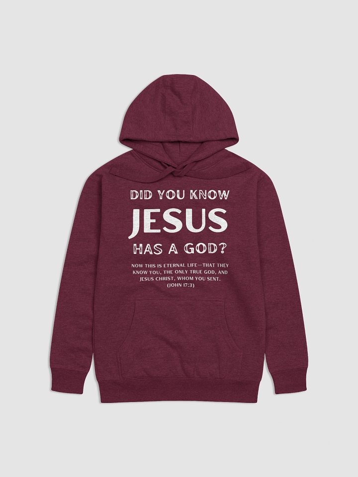 Jesus Had a God Unisex Premium Regular Fit Hoodie product image (1)