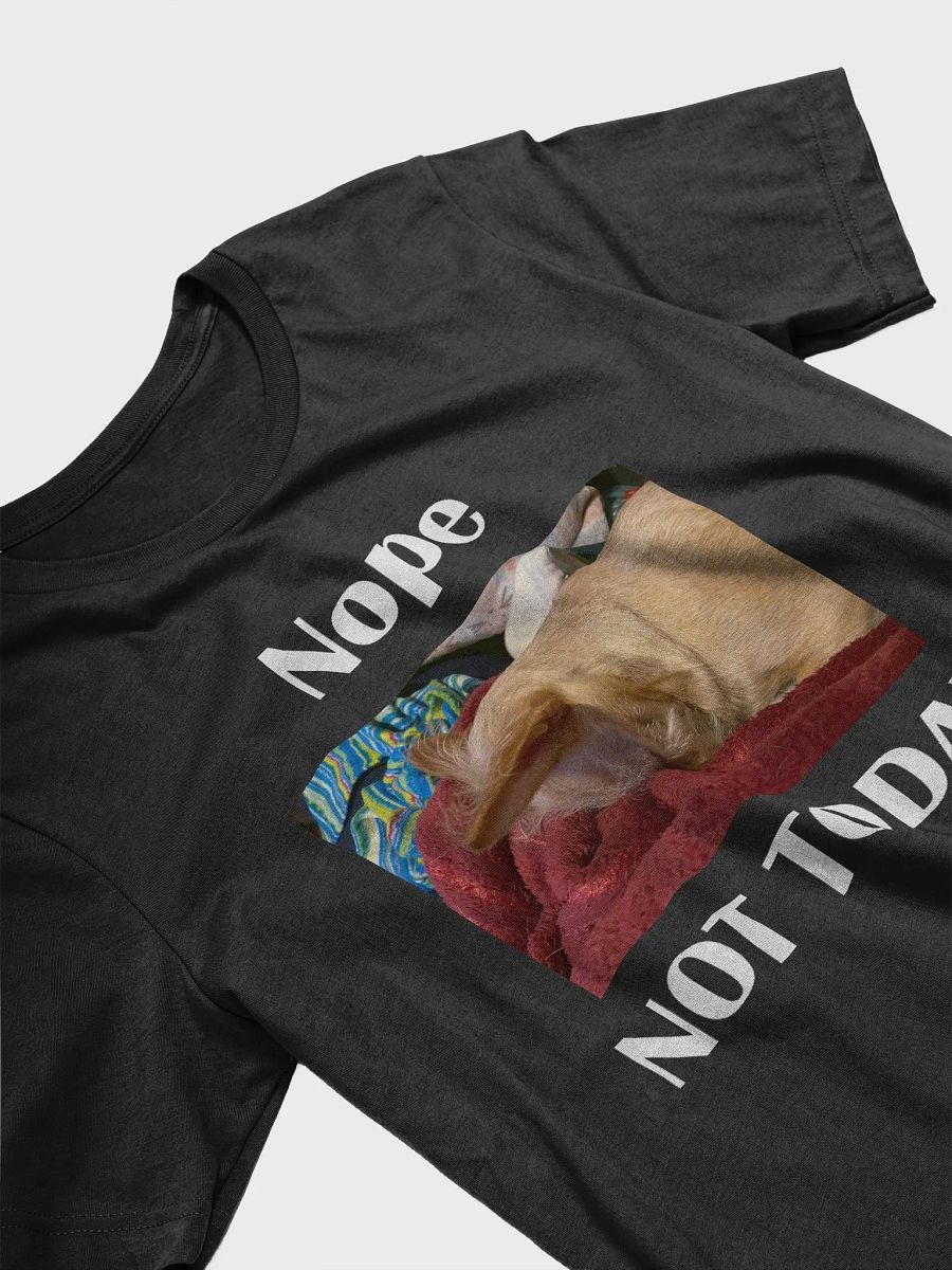 Nope Not Today product image (3)