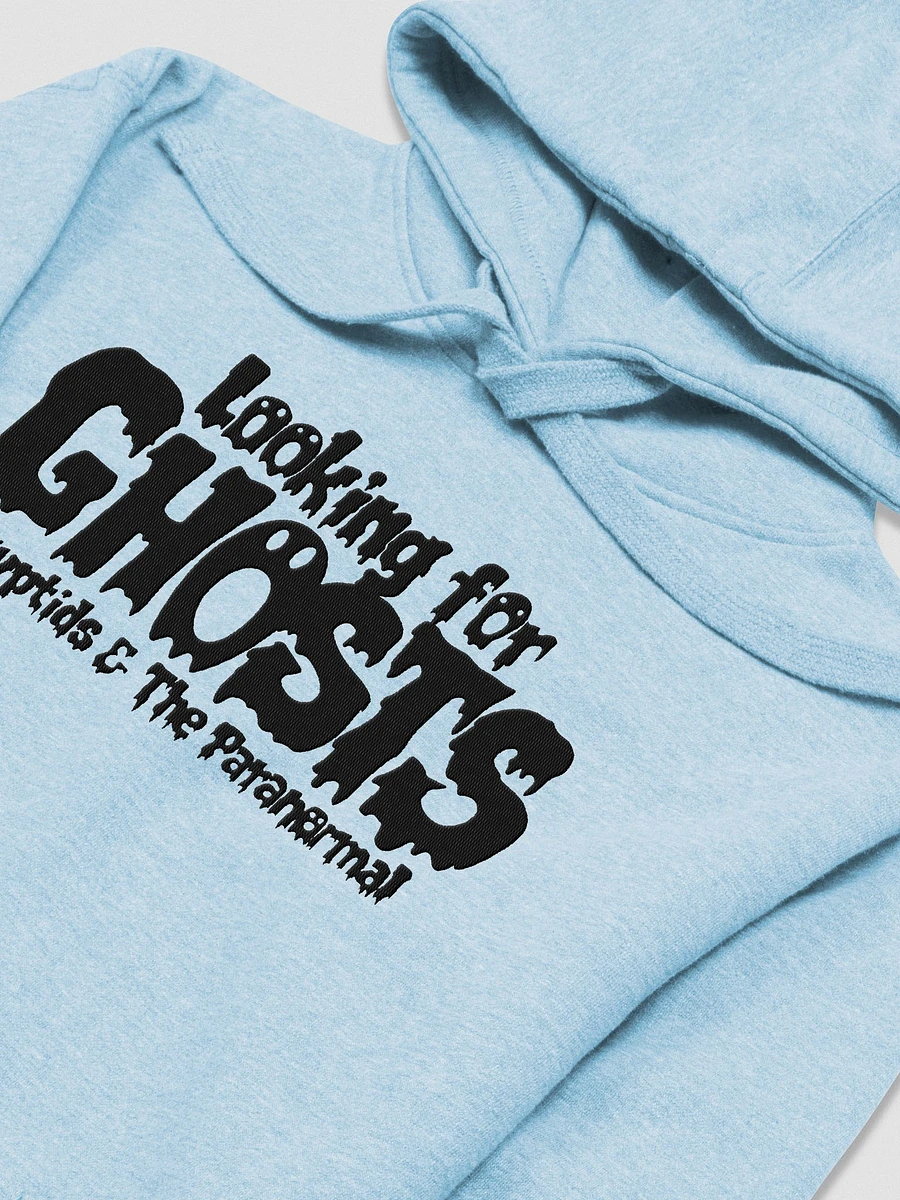Looking For Ghosts (Haunted Hoodie) product image (3)