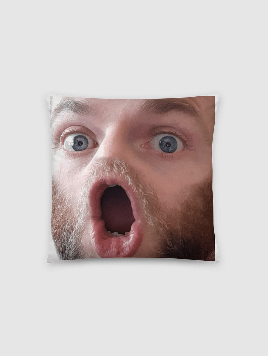MazManZero Pog Pillow product image (1)