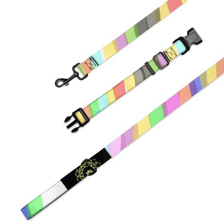 Vibrant Stripes Pet Collar & Leash Set product image (4)