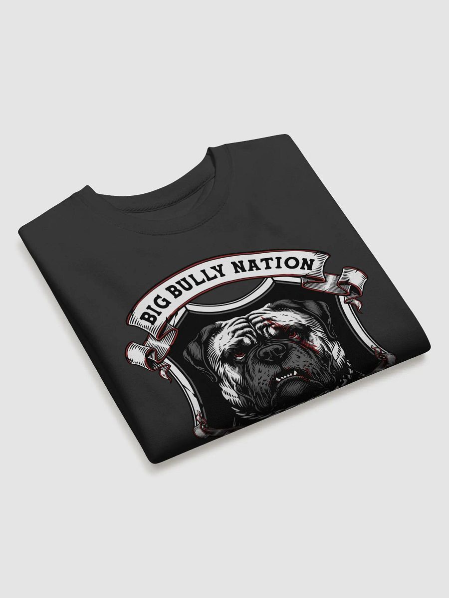 BBN Alter Ego Premium Sweatshirt product image (23)