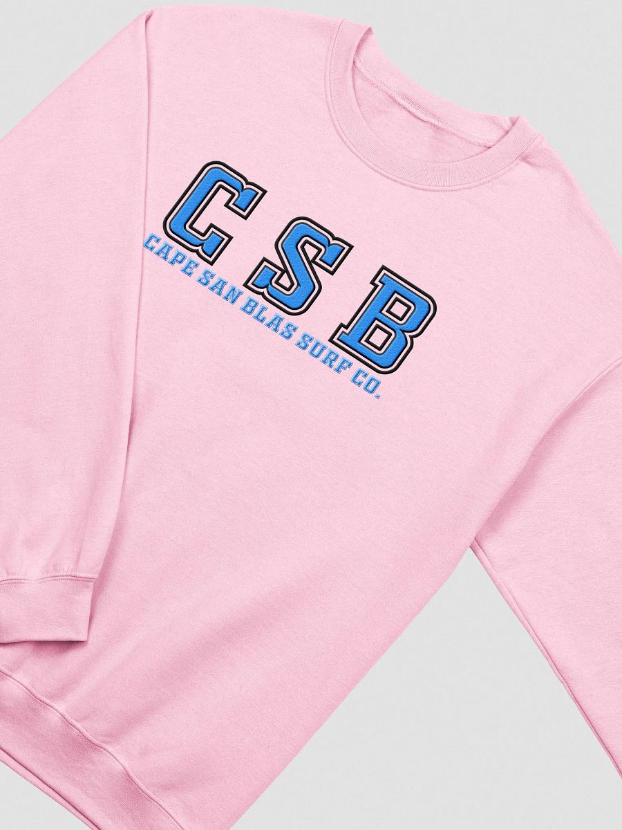 College Bound Embroidered Sweatshirt product image (3)
