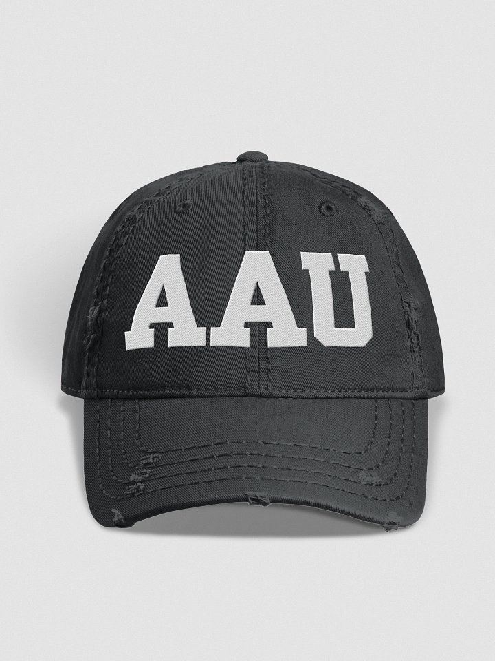 AAU Distressed Uncle Sam Hat product image (2)