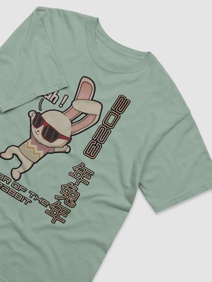 2023 YEAR OF THE RABBIT product image (3)