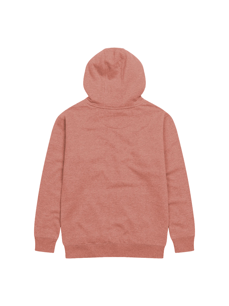 Embroidered SJ Hoodie product image (7)