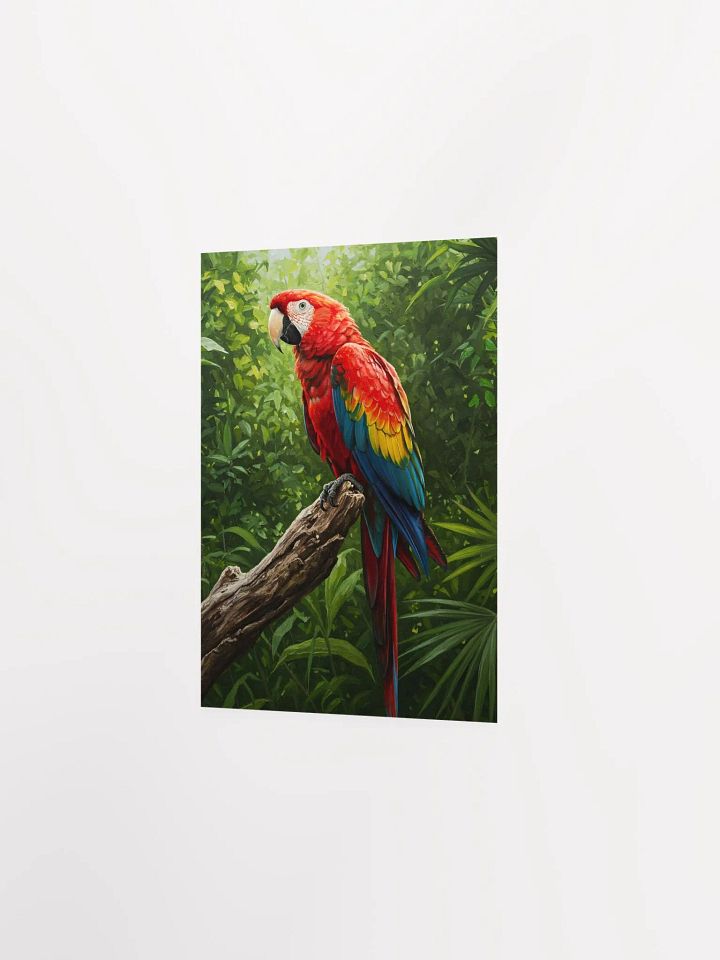 Scarlet Macaw Oil Painting Poster product image (20)