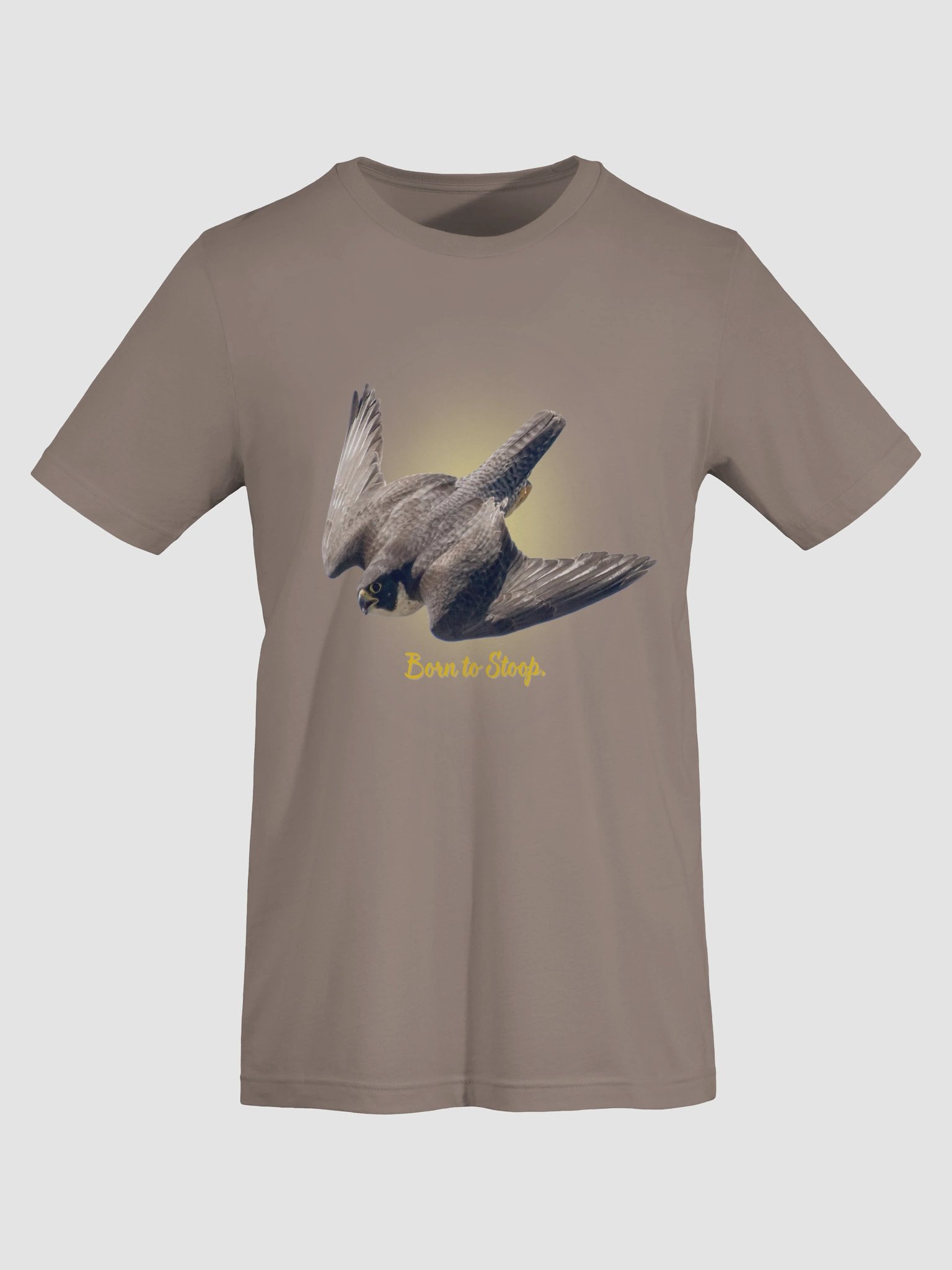 The Wandering Falcon — freedom in motion product image (4)