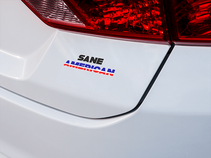 Sane American - Sticker product image (2)