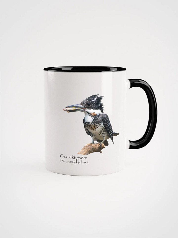 Crested Kingfisher mug product image (1)