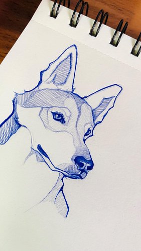Dia 08 #sketchoninstagram #draweveryday #drawoftheday #drawoftheday #drawingoninstagram