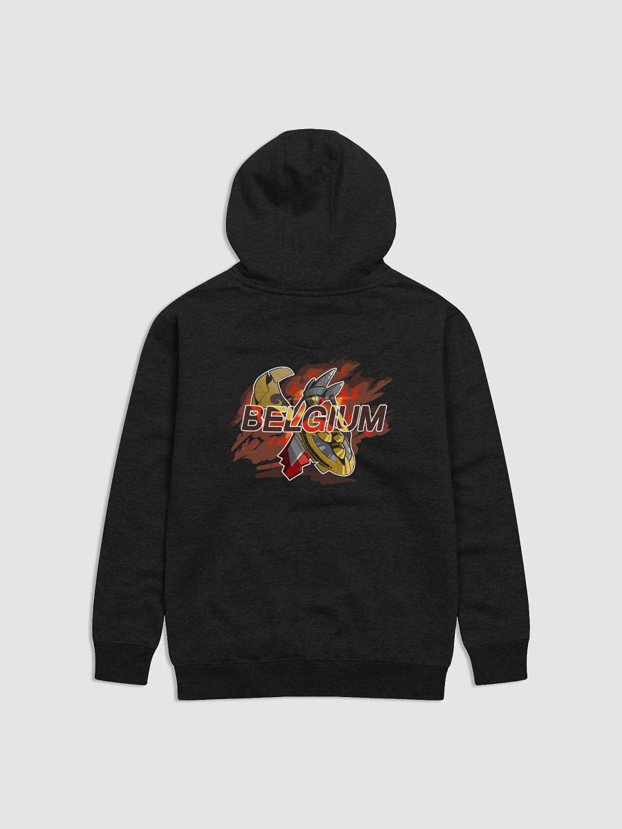 Team Belgium Hoodie product image (1)