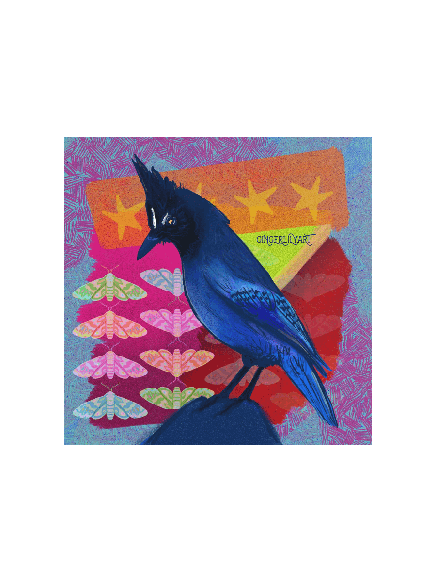steller's jay print product image (2)