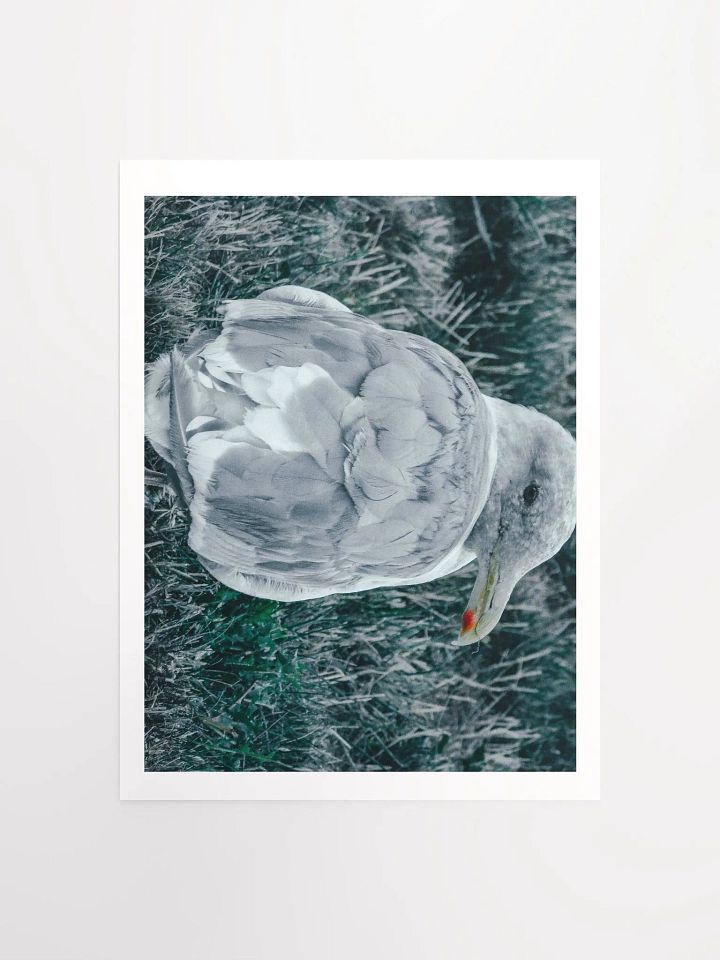 Seagull (my best buddy) product image (1)