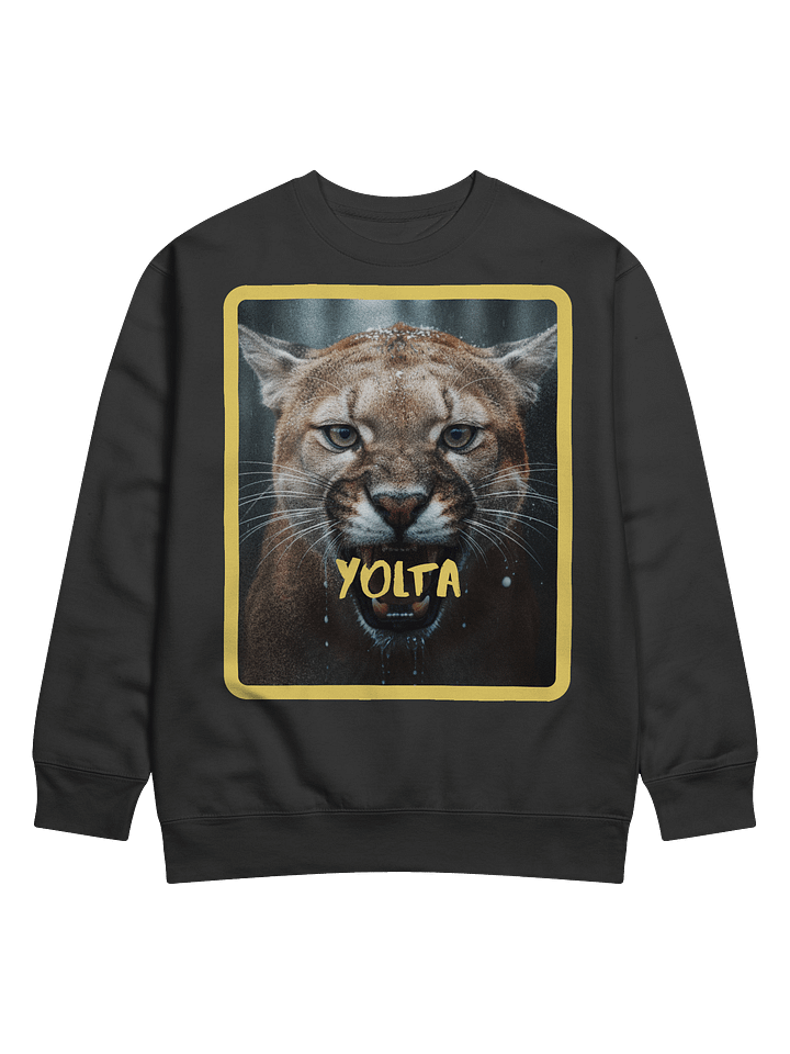 The Puma Sweatshirt product image (1)