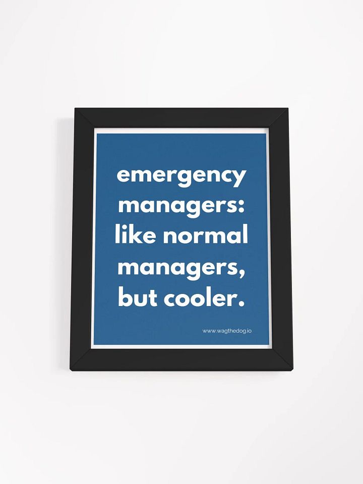 Emergency Managers - Framed Poster product image (1)