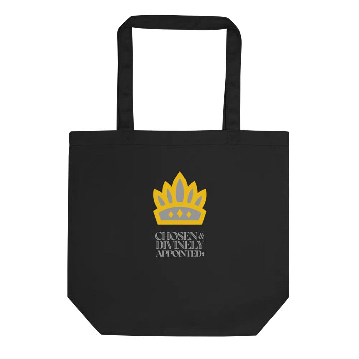 Chosen and Divinely Appointed product image (1)
