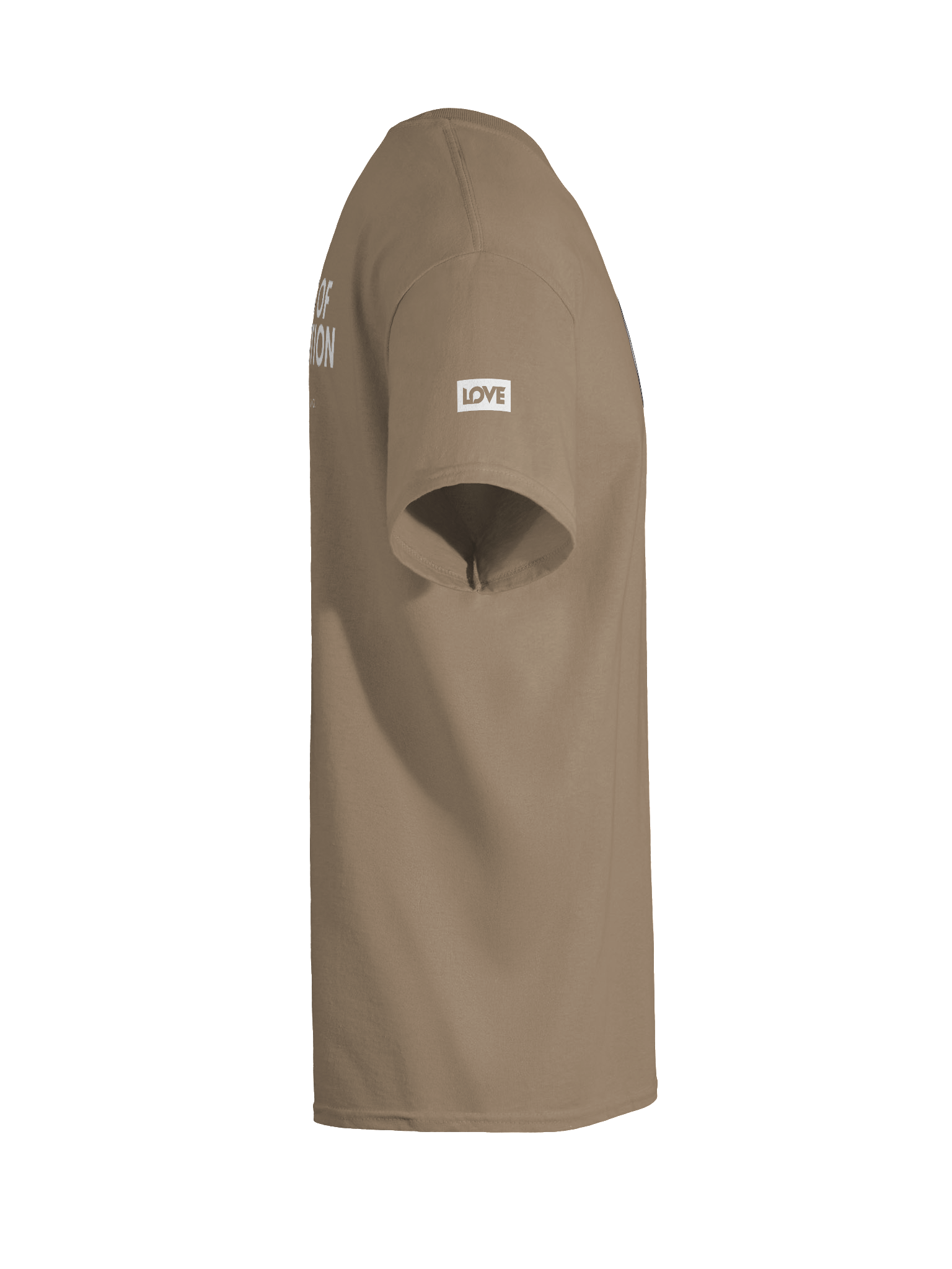 HINT HINT (Words of Affirmation) T-Shirt product image (55)