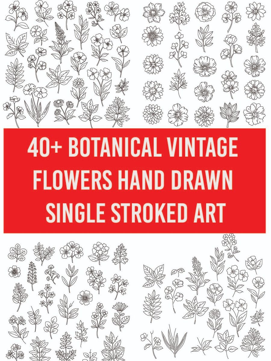 40+ Minimalist Botanical Illustrations - Single Line Art for Download product image (1)