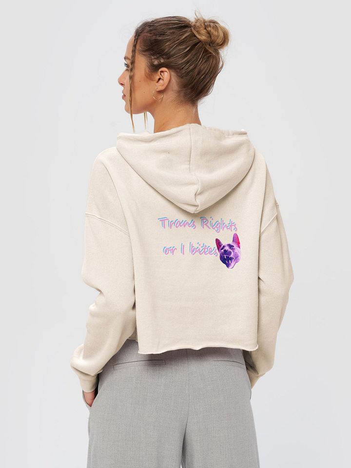 TROIB Cropped Hoodie in pink product image (1)