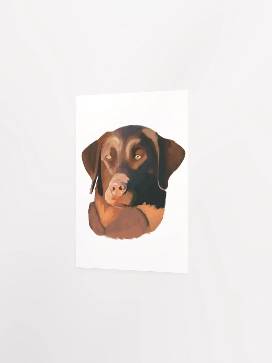 Chesapeake Bay Retriever product image (24)