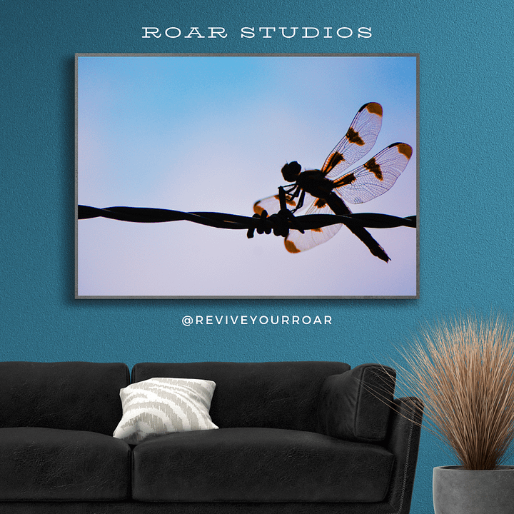 They always come back. product image (1)