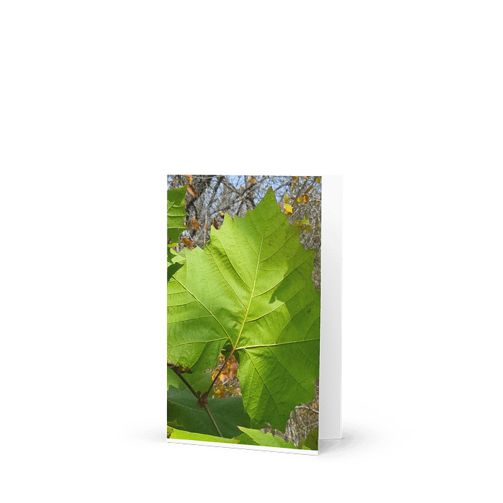 Veins of Nature Greeting Card product image (1)