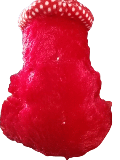 Teddy Bear product image (3)
