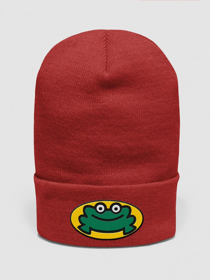 Feelin' Froggy Foldover Beanie product image (11)