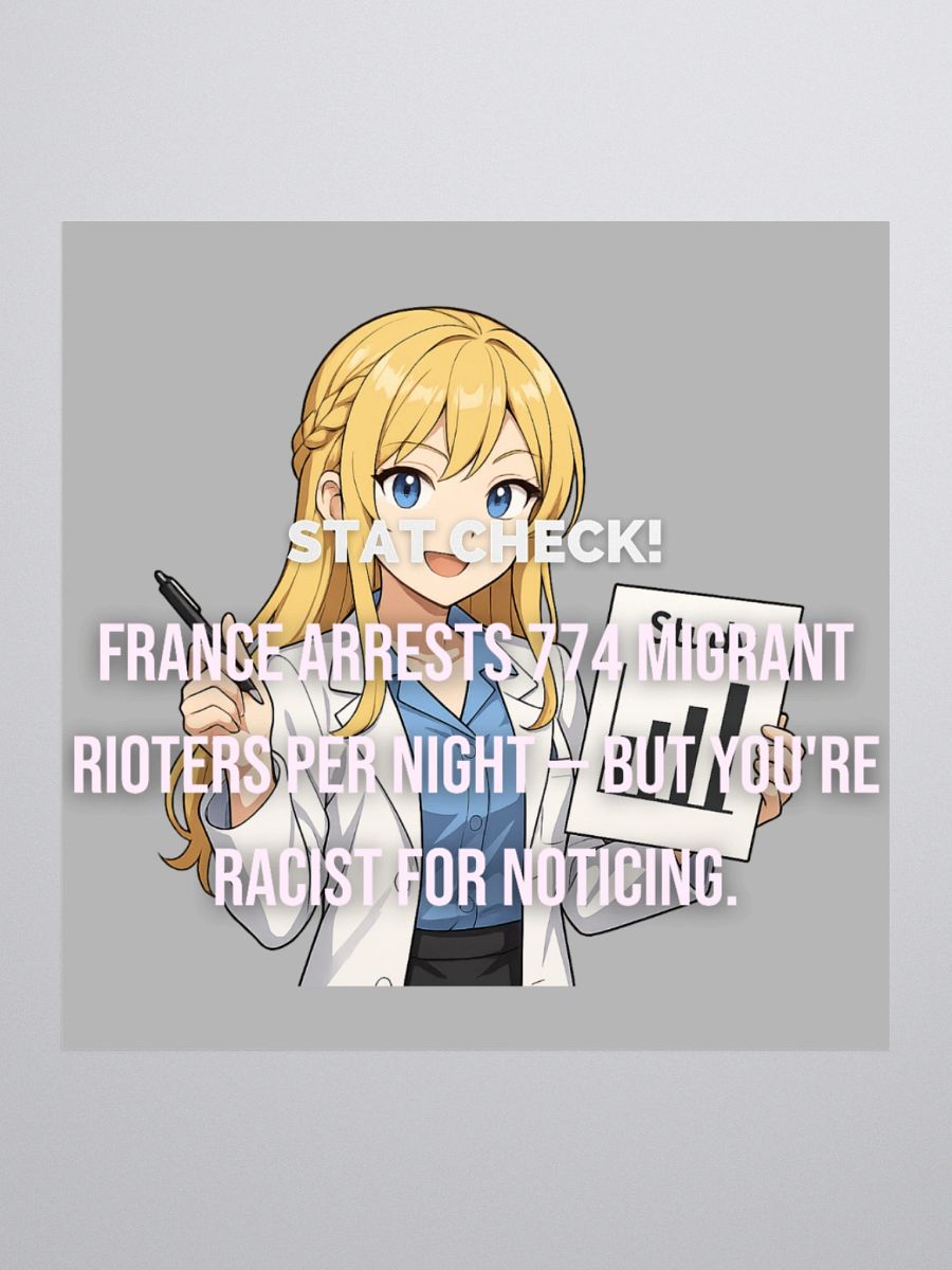 FRANCE ARRESTS product image (1)