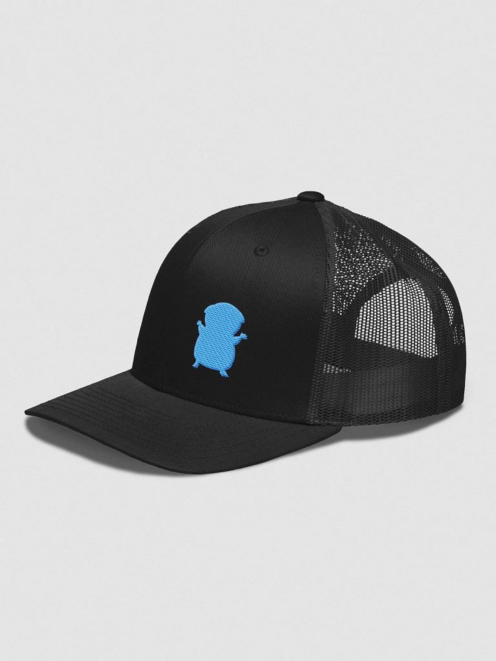 FIRESNOUT BLACK AND TEAL HAT product image (2)