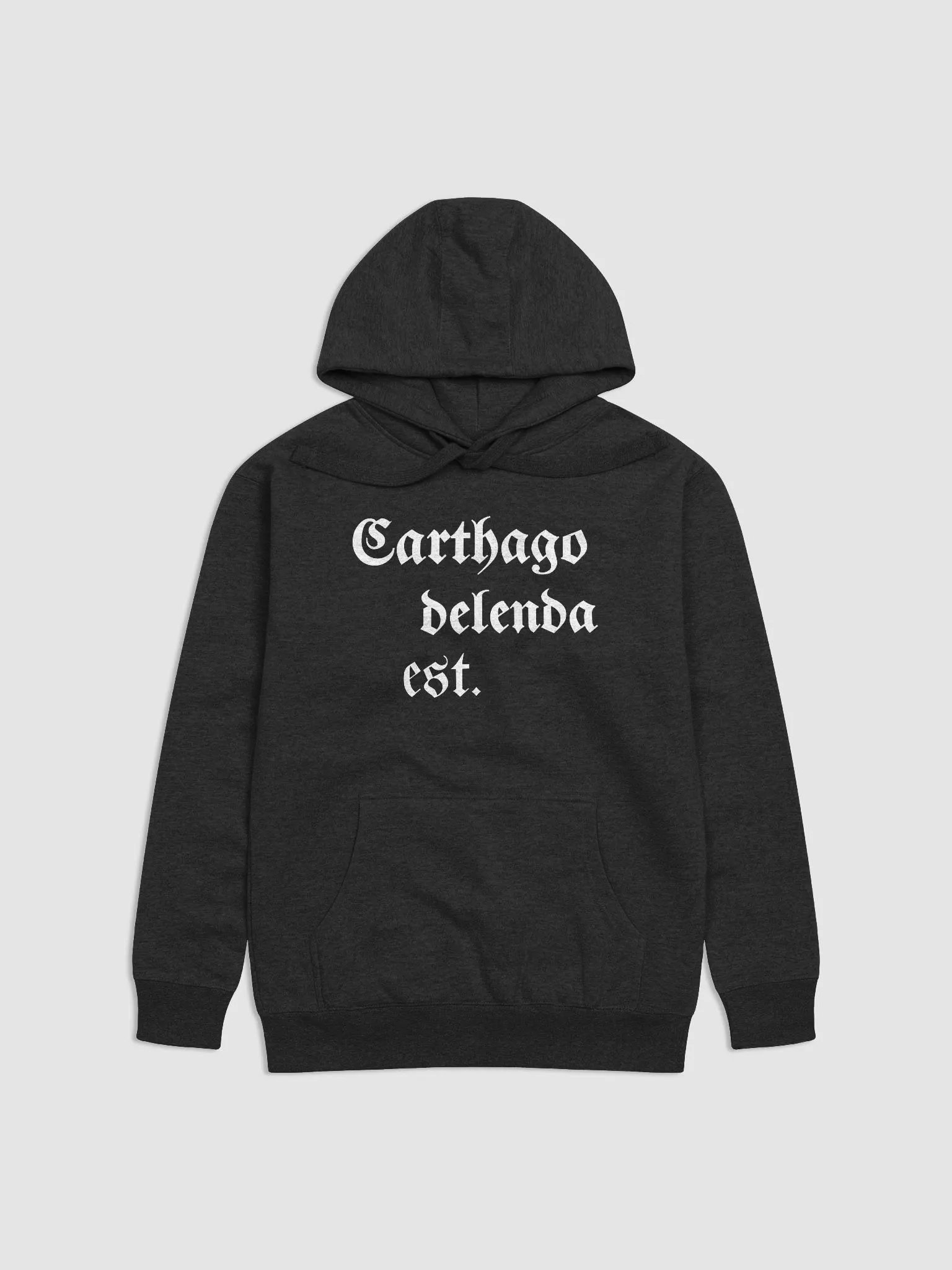 Carthago Delenda Est. Hoodie product image (1)