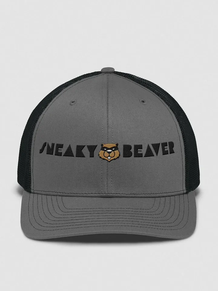 Sneaky Trucker embroidered cap product image (2)