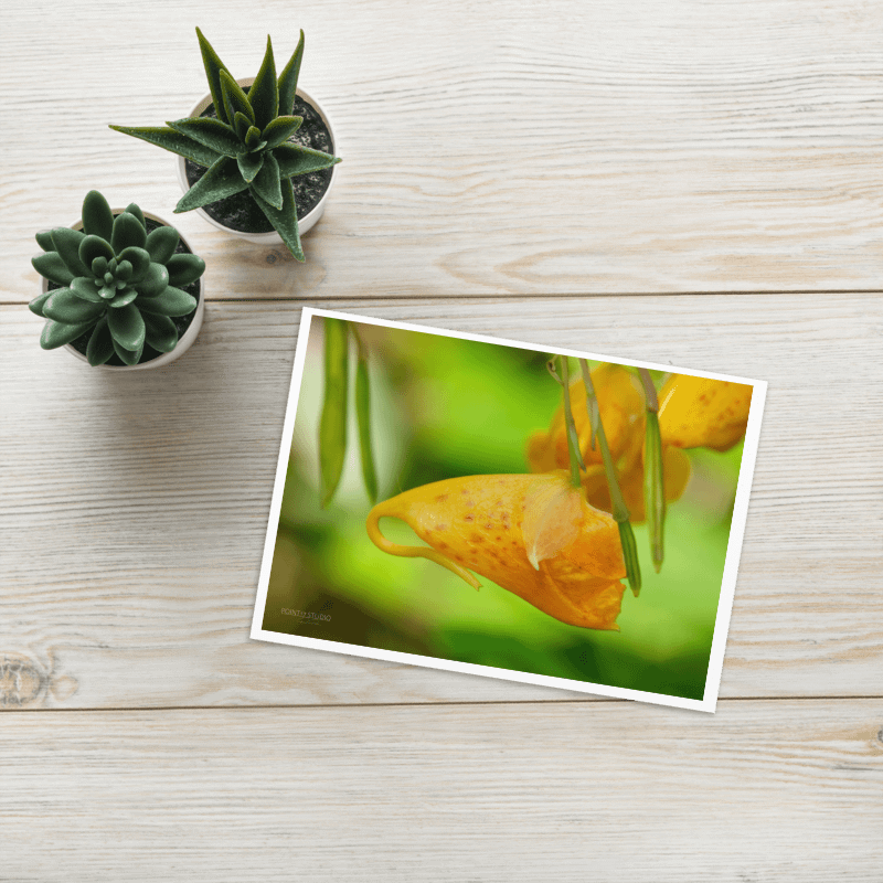 Touch-Me-Note Greeting Card product image (1)