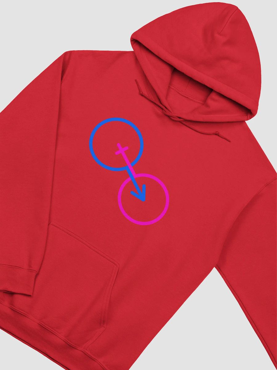 Male Blue, Female Pink Hoodie product image (3)