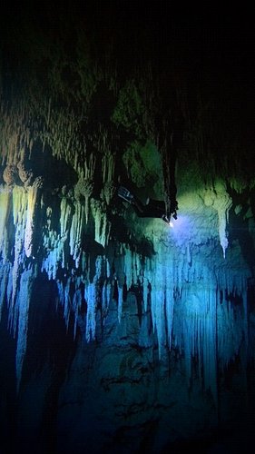 🤯 I can already tell you this was probably the most mind blowing dive of my life so far. It's a massive chamber, called Yab-Y...