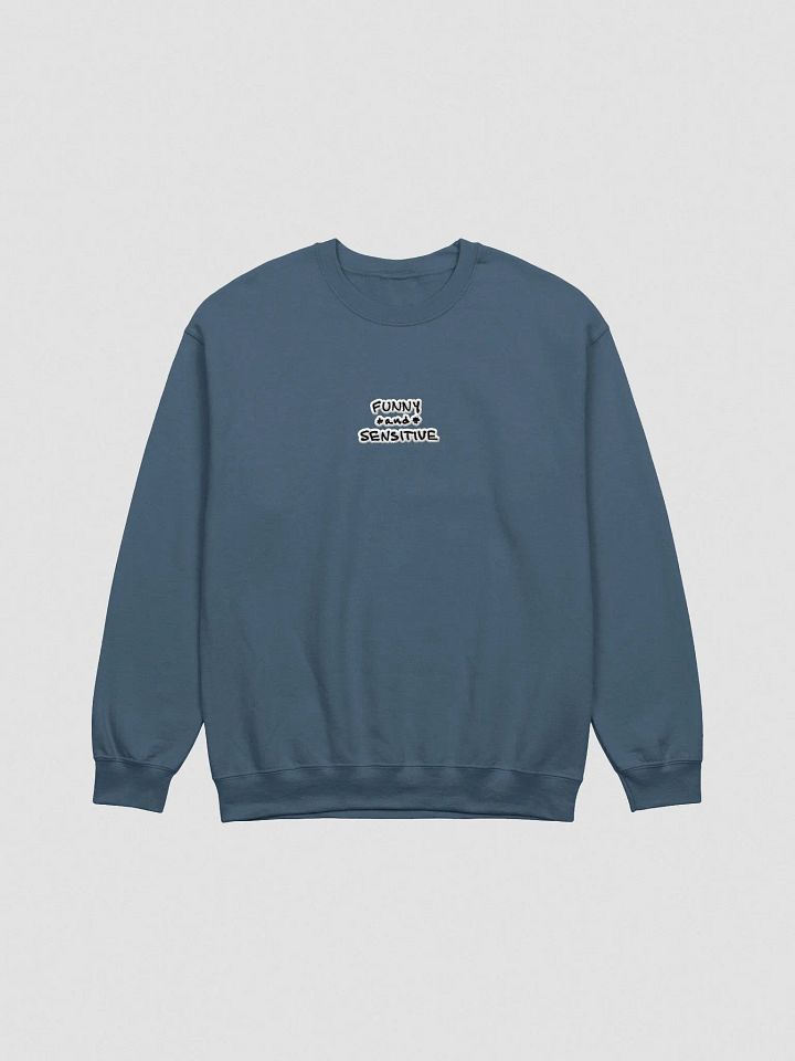 FUNNY *and* SENSITIVE (bubble design) embroidered crewneck product image (2)