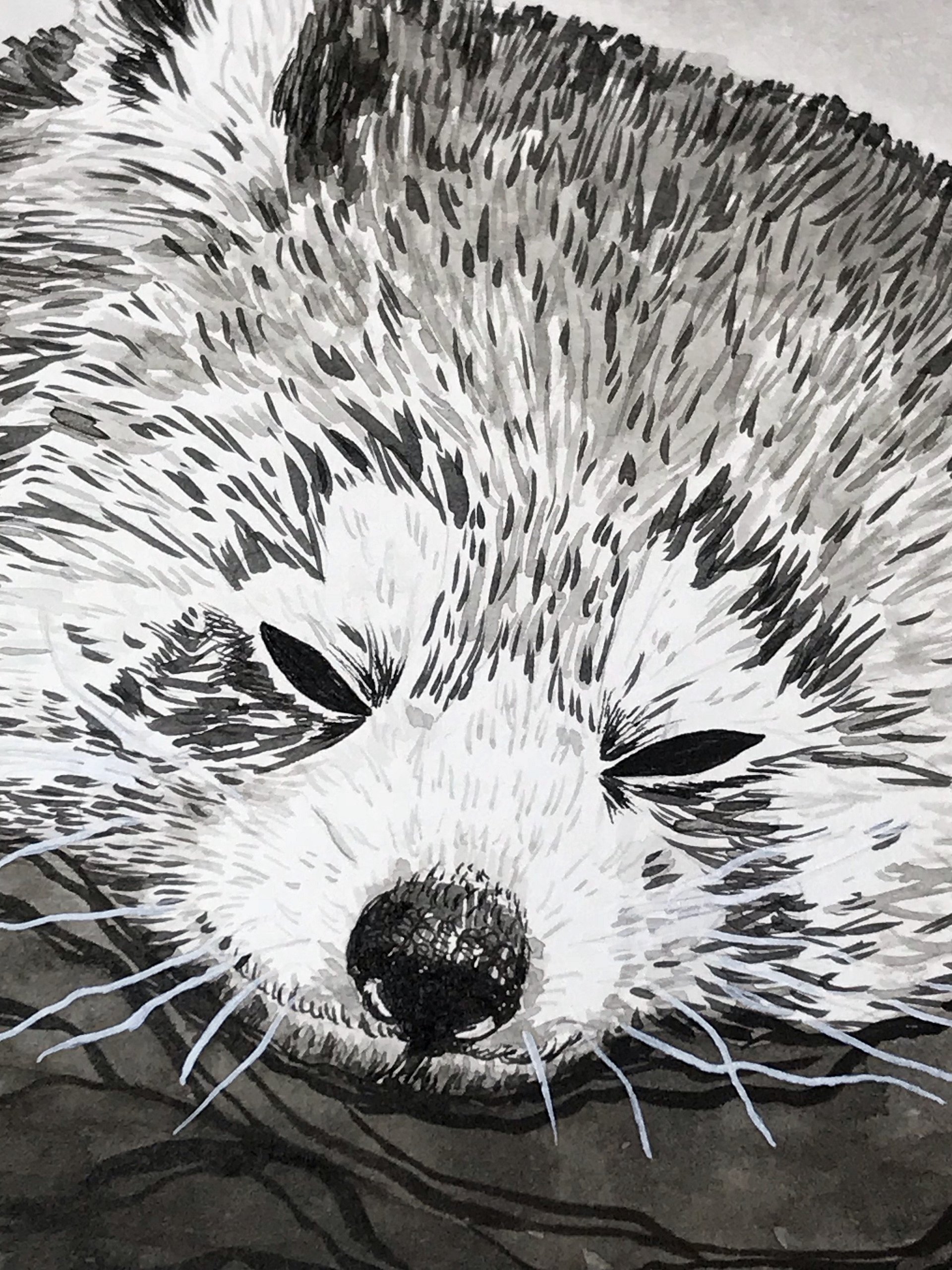 original painting : red panda product image (2)