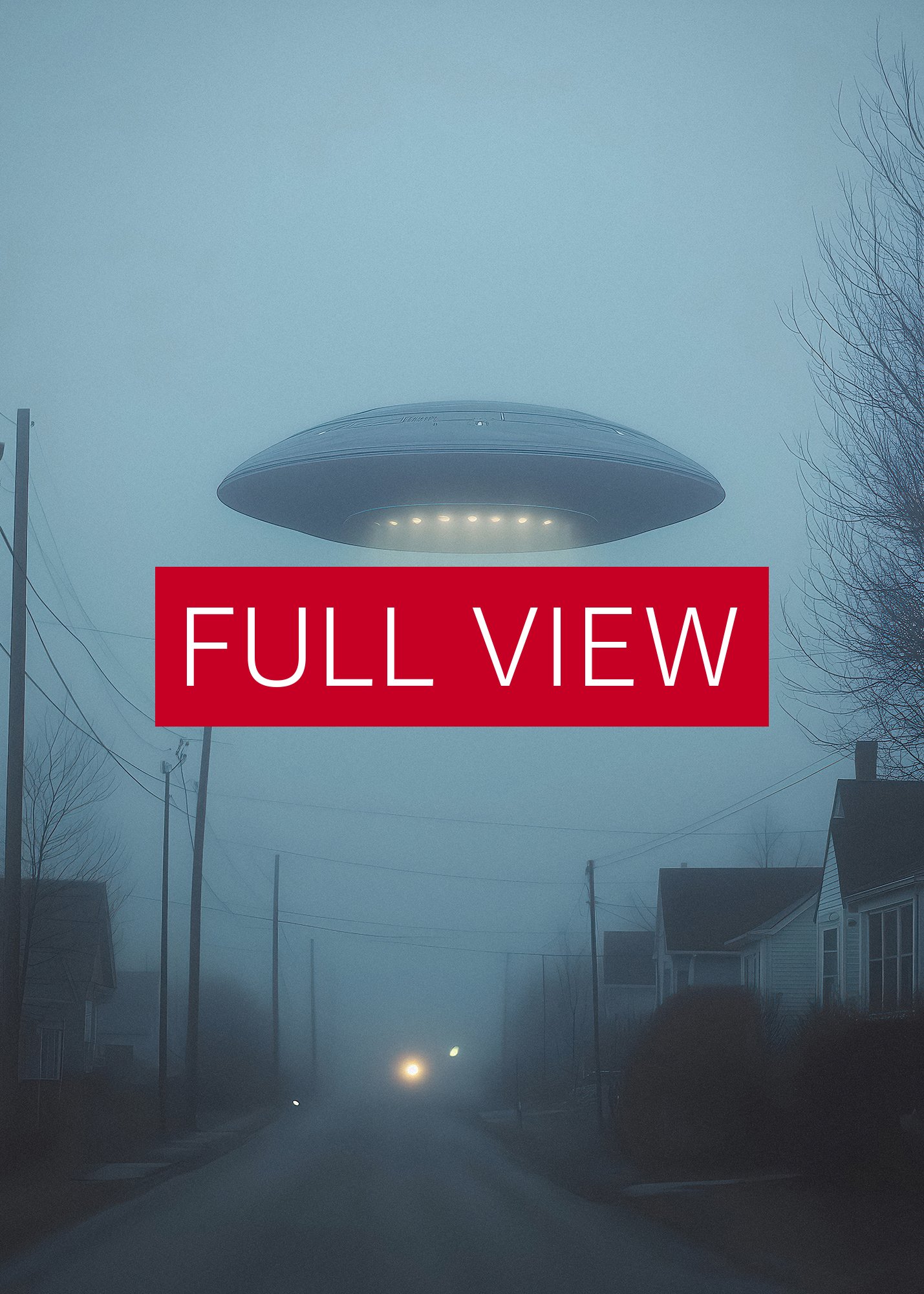 The Truth is Out There / The X-Files photo of UFO — sci-fi poster, movie art, I want to believe poster, space print, aliens wall decor product image (3)