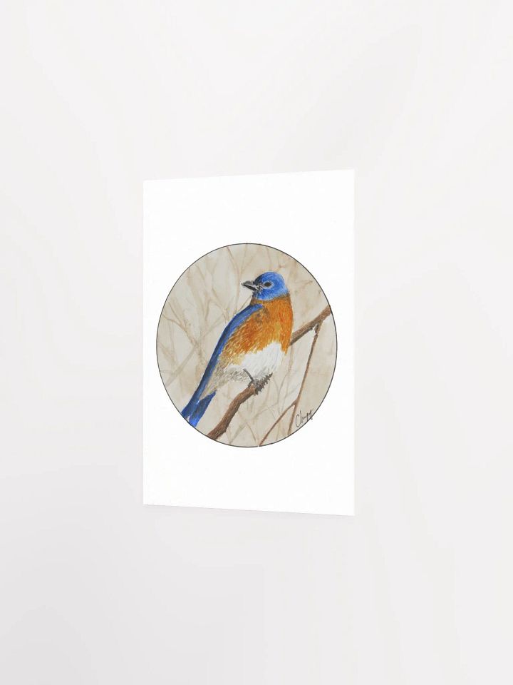 Eastern Bluebird print product image (2)