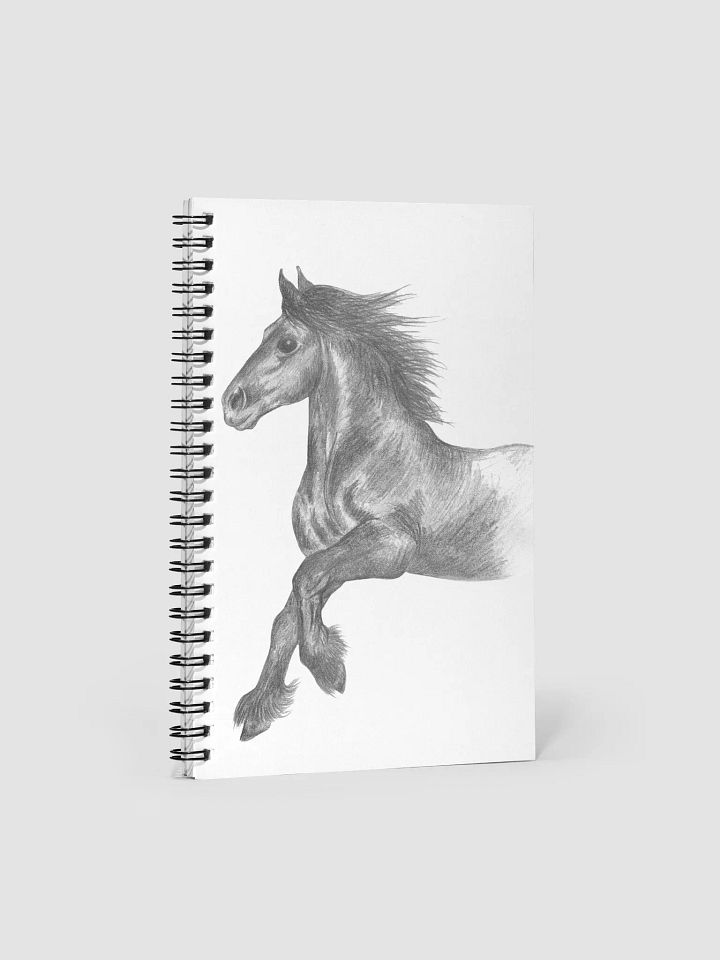 Fell pony cantering Journal product image (1)