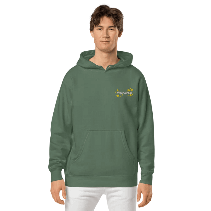 hyperverbal (L.C., comic sans and stars) embroidered pigment-dyed hoodie product image (2)
