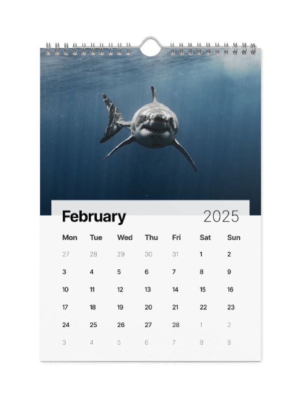 The Malibu Artist 2025 Calendar product image (3)