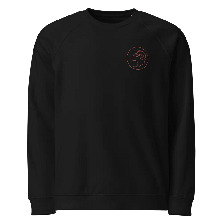 Mystic Aries Circle Organic Sweatshirt product image (1)