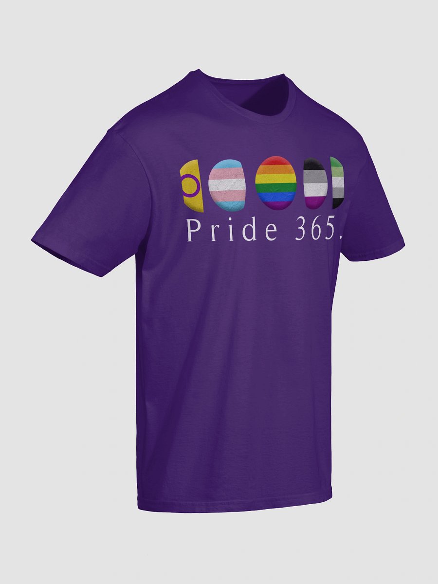 Pride 365 Tee product image (39)