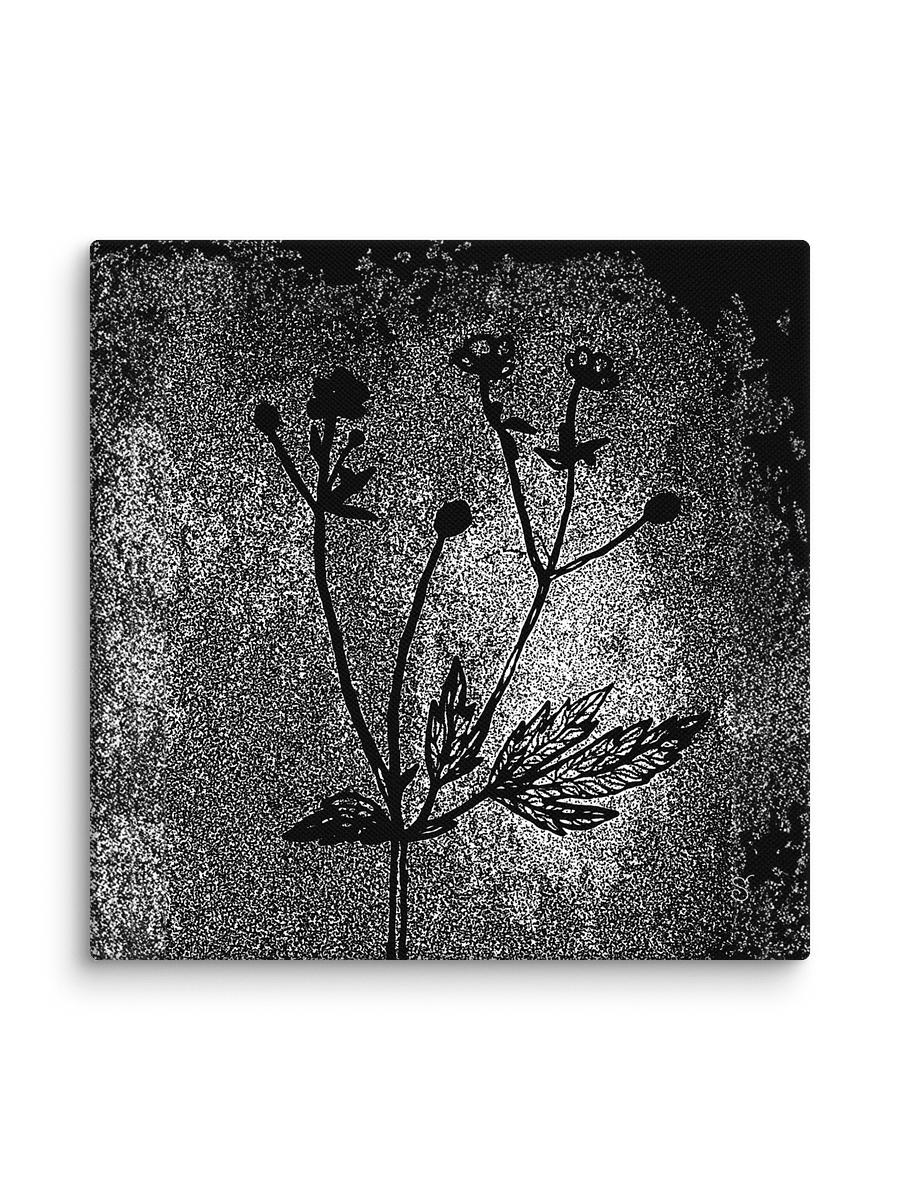 Visionary Canvas Collection - Wild Flowers Dark Stylish product image (2)