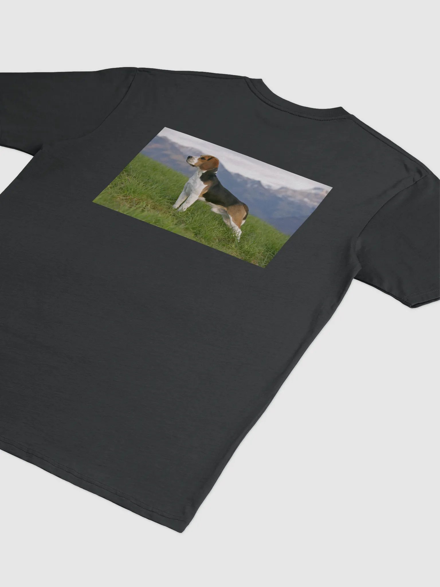 rabbbit dog product image (19)
