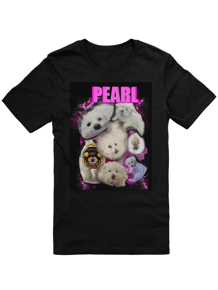 DJ Pearl product image (1)