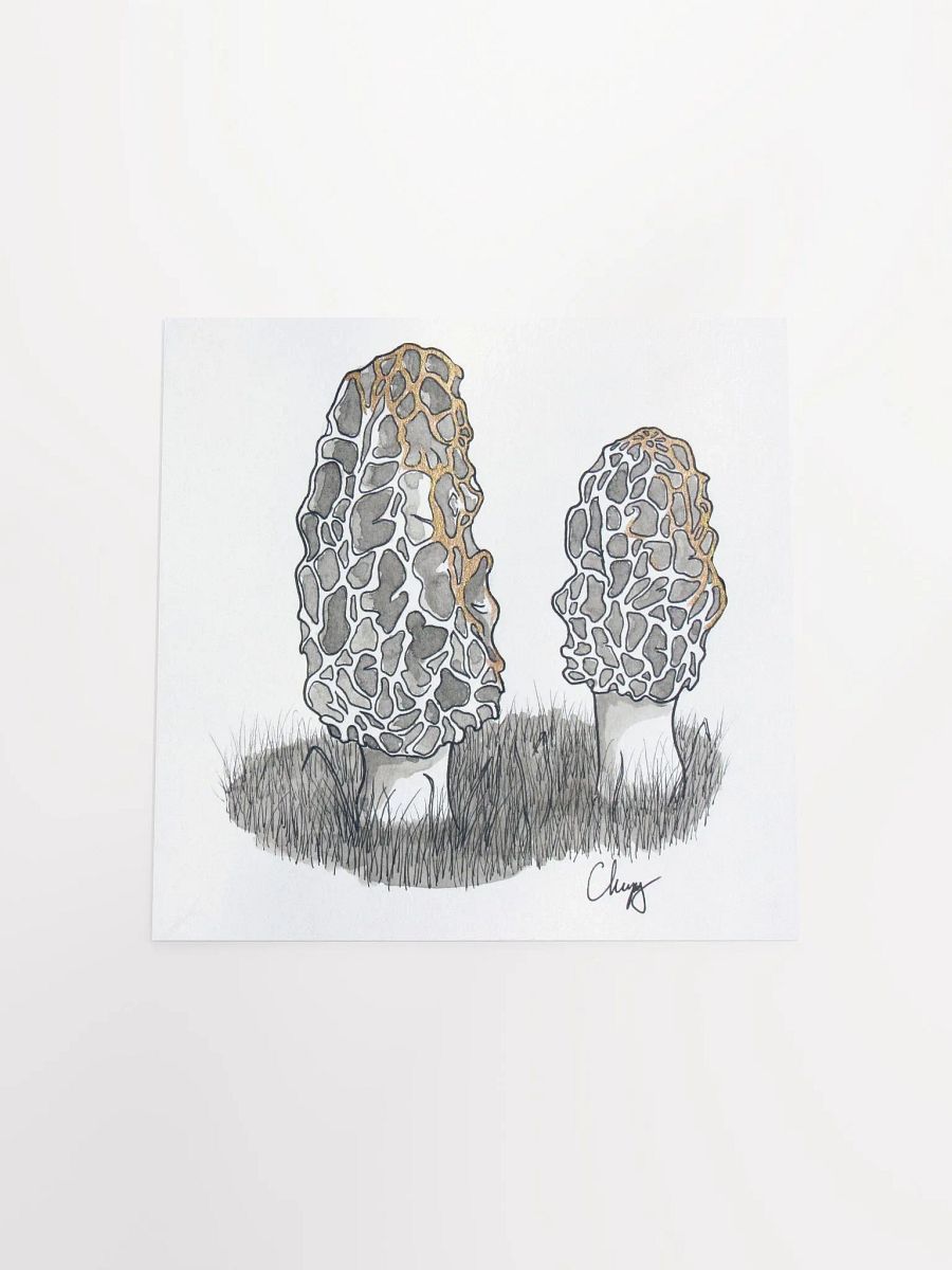 Morels Print product image (4)